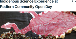 Read more about the article Indigenous Science Experience : Redfern Community Open Day 2026